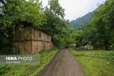 ایران زیباست | طبیعت بهاری «سیاهکل»