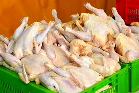 توزیع سهمیه کالاهای اختصاصی محرم بین هیات&zwnj;های مذهبی خراسان رضوی