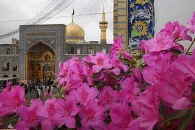 تشریح ویژه برنامه&zwnj;های حرم مطهر رضوی برای میلاد امام حسن عسکری(ع)