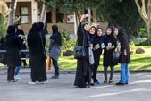 گلایه وزیر علوم از افزایش واحدهای دانشگاهی: با این روال کیفیت آموزش کاهش می‌یابد