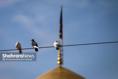 گزارش تصویری | لحظه تحویل سال در حرم مطهر امام رضا (ع)