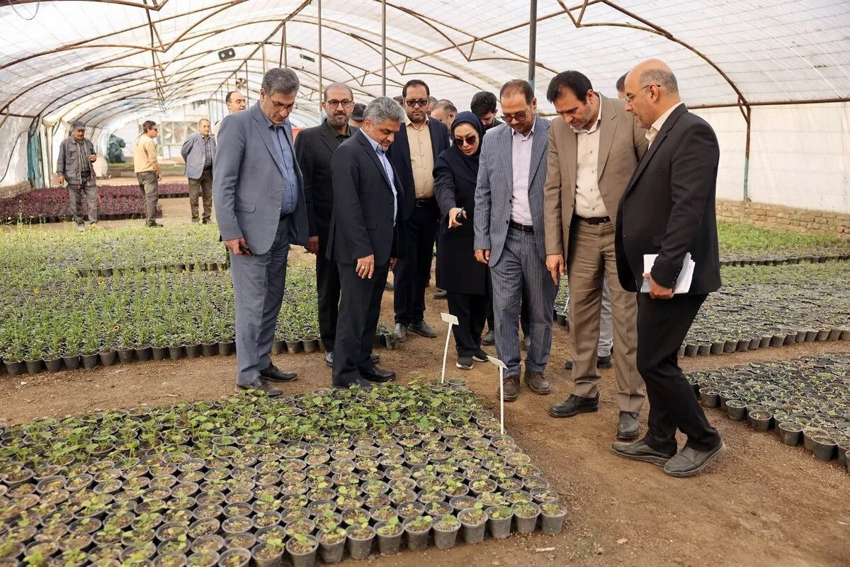 کاهش وابستگی به خرید گل و گیاه در شهرداری مشهد با توسعه تولیدات داخلی