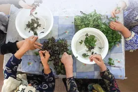 تنها خانه حمایتی سالمندان در مشهد، خانه&zwnj;ای برای عبور از روز&zwnj;های تنهایی