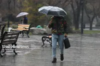 ویدئو | بارش باران بهاری در مشهد (۴ فروردین ۱۴۰۴)