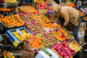 رئیس اتحادیه میوه و تره&zwnj;بار مشهد: انتظار کاهش قیمت میوه در شب عید را داریم