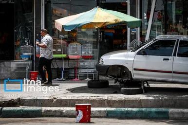 عکس‌هایی از تابستان گرم ۱۴۰۳