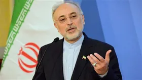صالحی: در هر ساعت ۹ گرم اورانیوم ۶۰ درصد تولید می&zwnj;کنیم