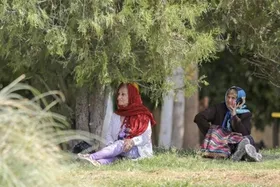 رکوردداری ایران در سرعت کاهش نرخ باروری | کاهش ۵۵۰ هزار تولد فقط در ۵ سال