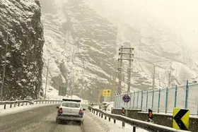 ویدئو| بارش شدید برف در جاده چالوس
