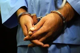 سارق بذر&zwnj;های کشاورزی در نیشابور به دام افتاد