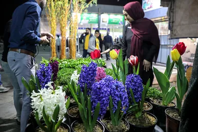  نمایشگاه فروش بهاره و عرضه مستقیم کالا 
