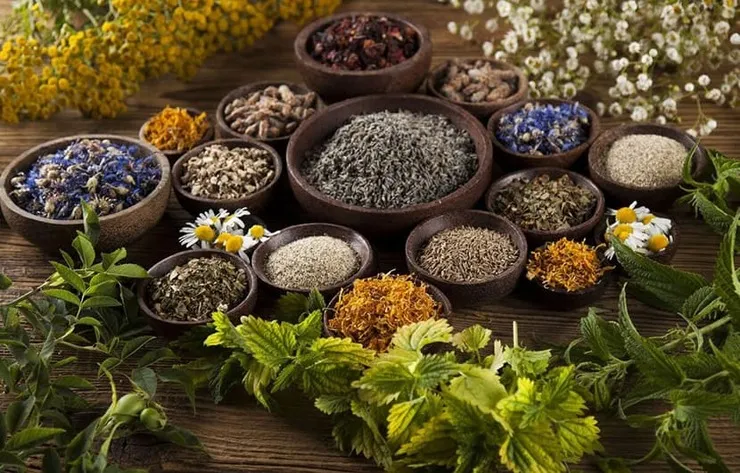 درمان گیاهی و خانگی سرفه و مشکلات تنفسی + ویدئو