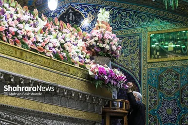 گزارش تصویری | تعویض گل‌های ضریح حرم مطهر امام‌رضا(ع)