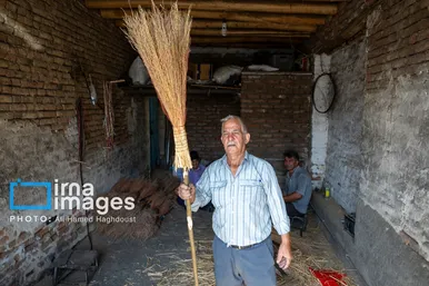 گزارش تصویری | جاروی سنتی قَرامَلِک