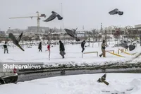 پیش‌بینی هواشناسی مشهد و خراسان رضوی (دوشنبه، ۲۶ آذر ۱۴۰۳) | مشهد سردترین مرکز استان کشور