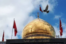 صبر آگاهانه حضرت زینب (س)، عامل ماندگاری نهضت عاشورا