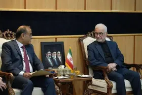 سفیر جدید پاکستان در ایران با وزیر کشور دیدار کرد