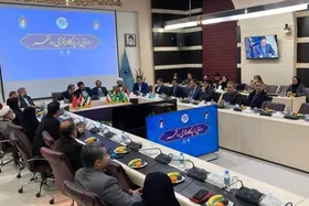 سرکنسول افغانستان در مشهد: مشهد و هرات خواهرهای دوقلو هستند