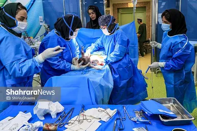 گزارش تصویری | «روز جهانی ماما» اولین همراه زندگی