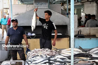 بازار ماهی فروشان شهرک عرب‌های مشهد