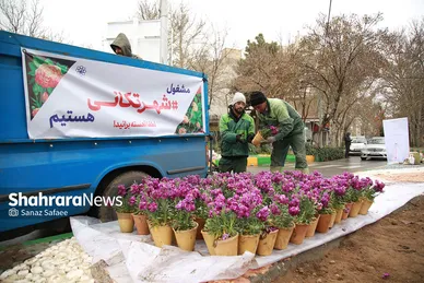 گل‌آرایی و شهرتکانی مشهد در نوروز ۱۴۰۱