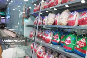 توزیع بیش از هزار و ۲۰۰ تن مرغ منجمد برای تنظیم بازار در خراسان رضوی