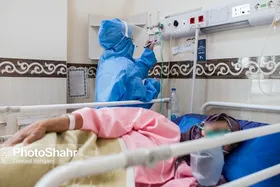 ورود اولین محموله داروی &laquo;قارچ سیاه&raquo; به کشور