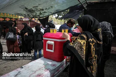 زائران پیاده امام رضا (ع)