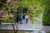 پیش‌بینی هواشناسی مشهد و خراسان رضوی، امروز (سه‌شنبه، ۸ اردیبهشت ۱۴۰۵) | کاهش دمای روزانه در پایان هفته