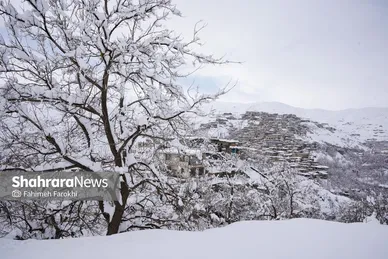 گزارش تصویری | طبیعت زمستانی روستای کنگ