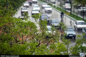 بارش باران در جاده&zwnj;های ۱۱ استان کشور
