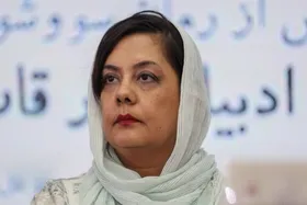 دبیر علمی جایزه جلال: خیلی از جوایز خصوصی مستقل نیستند