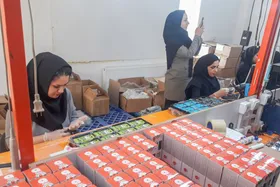 بیش از۸۰ درصد تولیدات بخش صنعتی و اقتصادی به دلیل نبودکافی صنایع بسته&zwnj;بندی به دیگر نقاط صادر می&zwnj;شود