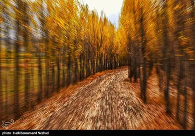 ایران زیباست | پاییز در ارسباران