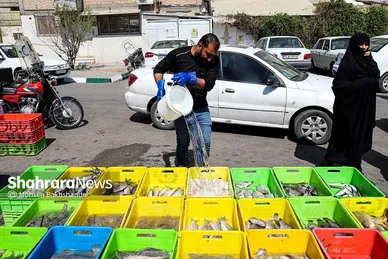 بازار ماهی فروشان در شهرک عرب‌های مشهد