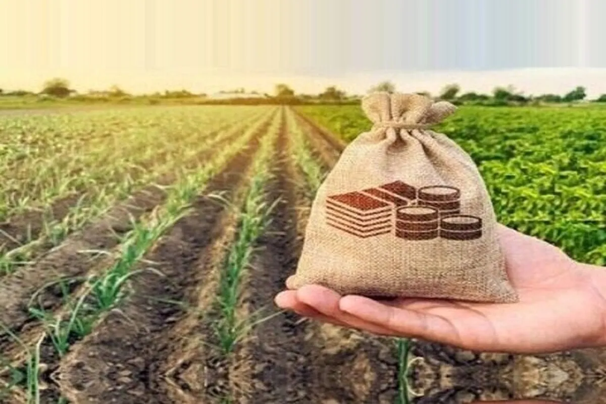 افزایش ۳۵ درصدی صادرات محصولات کشاورزی ایران