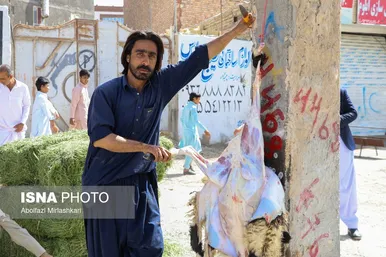 گزارش تصویری | عید قربان در زاهدان