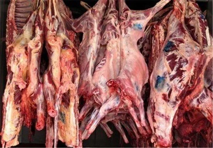 توزیع گوشت گرم در فروشگاه های «شهرما»