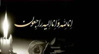 حجت الاسلام مجتبی بروجردی درگذشت (۲۳ دی ۱۴۰۴)