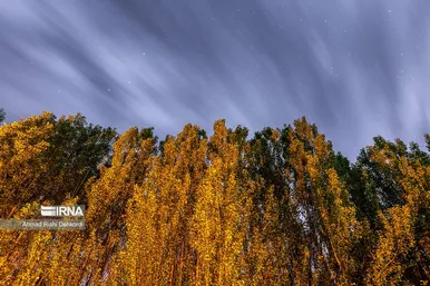 آسمان سحر انگیز شب