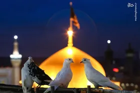 ویدئو | حرکت جالب مهماندار قطار مشهد