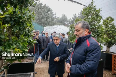 گزارش تصویری | بازدید شهردار مشهد مقدس از مرکز تولیدات گل و گیاه سازمان پارک‌ها