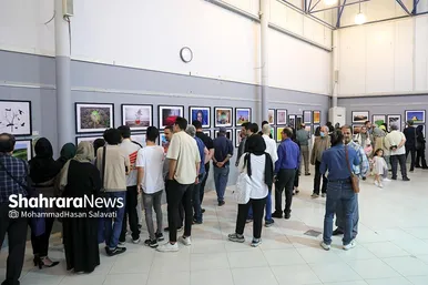 گزارش تصویری | هشتمین اکسپوی سراسری عکس همدم