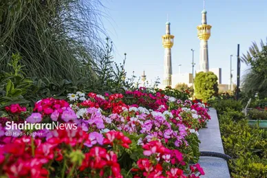 گزارش تصویری | پاییز بهاری مشهد