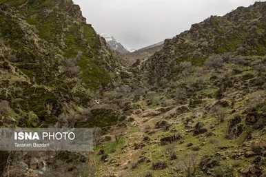 ایران زیباست | مخمل کوه در گستره زاگرس - لرستان