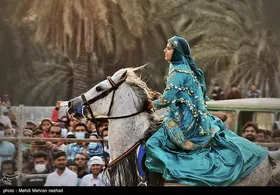 دومین فستیوال کشوری اسب اصیل ایرانی در بوشهر