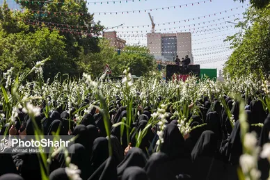 گلباران حرم مطهر رضوی در روز میلاد حضرت معصومه (س)