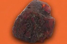 پیرزن رومانیایی سال&zwnj;ها سنگی میلیون&zwnj;دلاری را برای نگه&zwnj;داشتن در خانه&zwnj;اش استفاده می&zwnj;کرد!