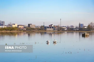 گزارش تصویری | وقتی تالاب‌ می‌میرد...