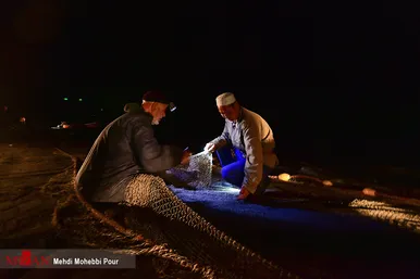 آغاز فصل صید ماهی استخوانی در مازندران